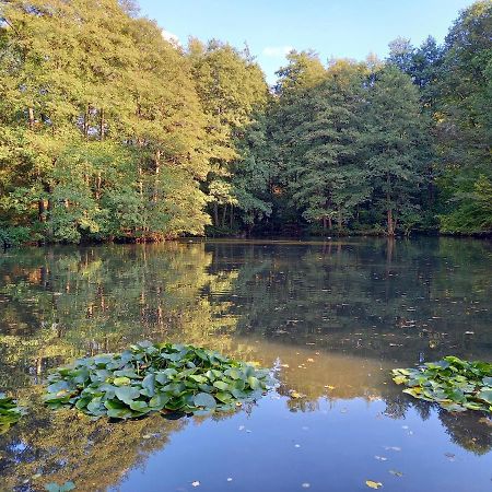 Ferienwohnung Am Waldsee Mit Schwimmbad Gernsbach Dış mekan fotoğraf