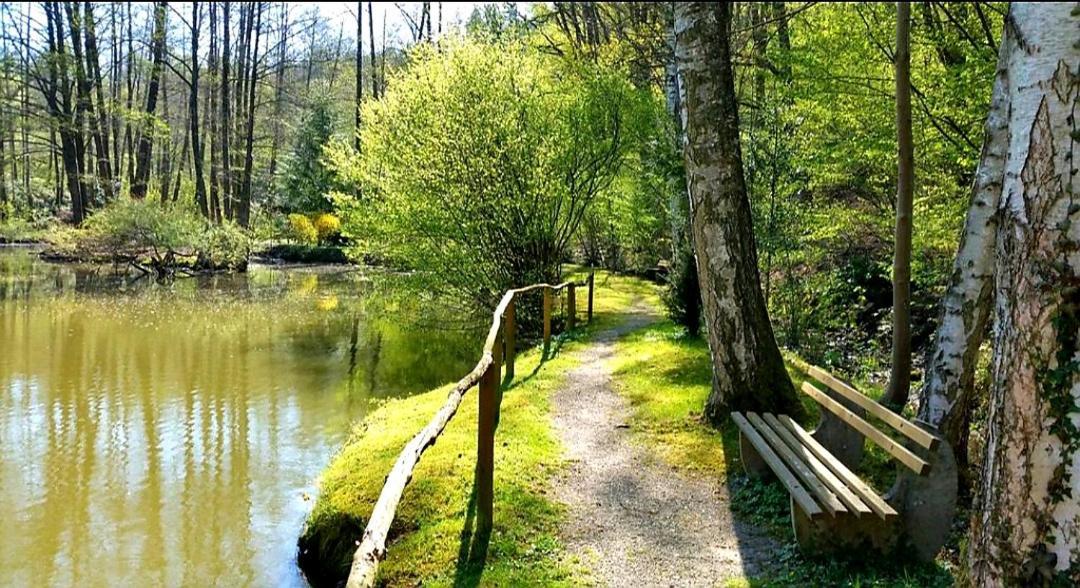 Ferienwohnung Am Waldsee Mit Schwimmbad Gernsbach Dış mekan fotoğraf