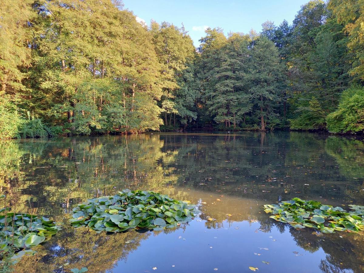 Ferienwohnung Am Waldsee Mit Schwimmbad Gernsbach Dış mekan fotoğraf