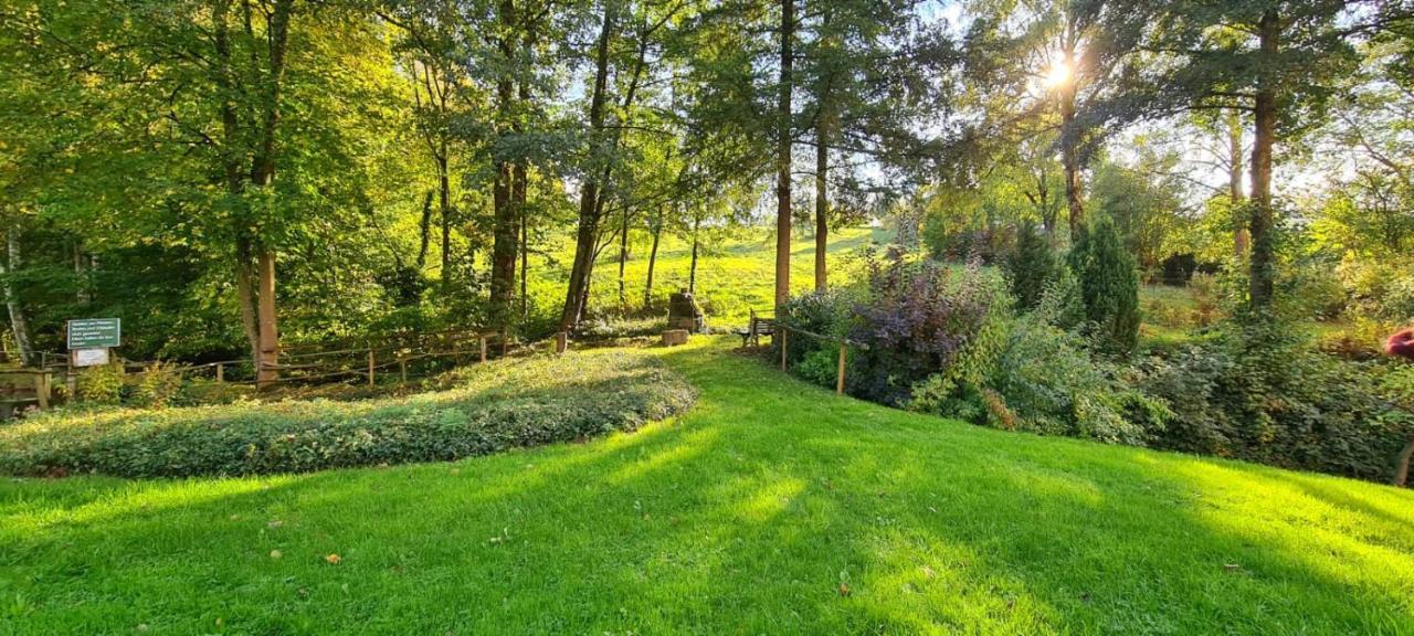 Ferienwohnung Am Waldsee Mit Schwimmbad Gernsbach Dış mekan fotoğraf
