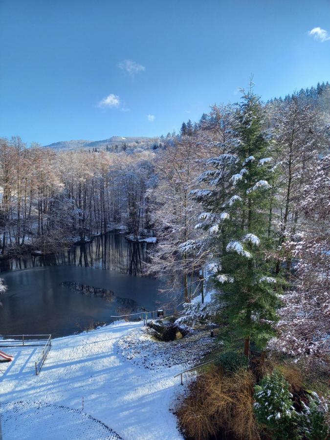 Ferienwohnung Am Waldsee Mit Schwimmbad Gernsbach Dış mekan fotoğraf